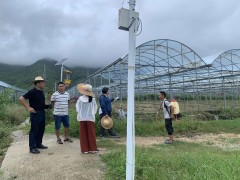 市农业农村局会同市发改委(稳价办)赴天涯区反省我市终年蔬菜主干基地树立情况