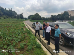 省委农办赴水城催促指点粮食消费、生猪消费等任务