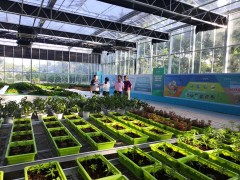 三亚市农业农村局调查农民教育培训实训基地