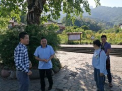 雅安市农业农村局对创建全国文明城市乡镇示范点位打造义务中止反省