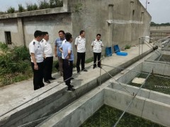 中国海监江苏省总队指点来邮展开水生野生植物维护专项执法反省 - 义务静态 - 高邮鹤壁市农业农村局