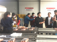 省畜牧兽医局结合省市场监管局来潍坊市展开鲜鸡蛋“双证制”管理和电子合格证明施调研任务