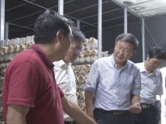 市食用菌产业开展指导小组召开全市食用菌产业开展任务推进会