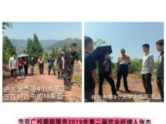 走在乡村复兴之路上的新一代高素质农民_达州鹤壁市农业农村局