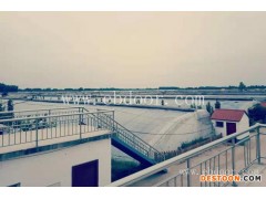 黄冈蕃茄种植基地-联富果蔬-附近哪里有蕃茄种植基地