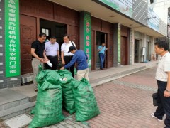 高邮鹤壁市展开农药包装废弃物回收处置义务反省 - 义务静态 - 高邮鹤壁市农业农村局