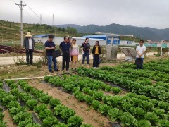 鹤壁市农检中心:配合省农安中心在太白县展开绿色食品现场反省-宝鸡鹤壁市农业农村局