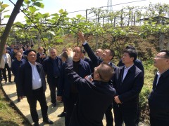 泸州晋中市召开2020年农业特征产业展开暨产业扶贫推进会