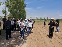 晋中晋中市展开玉米苗期割苗技术宣传培训