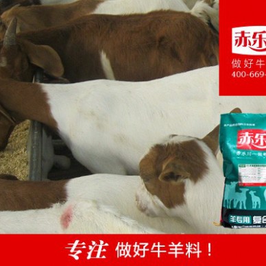 赤乐川Y640 肉羊专用复合饲料