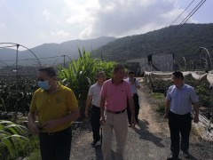 市农业农村局牵头把脉中廖永生农民专业协作社