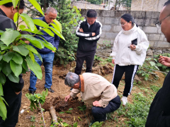 大连市甘井子区农业开展效劳中心赴六盘水市六枝特区展开支农帮扶