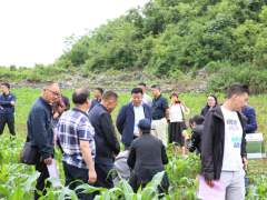 毕节农技人员把知识撒向田间地头 ——防治病虫害系列现场培训会在黔西召开