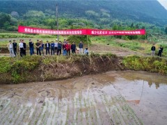 青阳县推行水稻机插秧同步侧深施肥技术