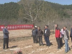 耀州：举行玉米增密度提单产举动现场会