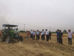 白崇军副市长反省督导“三夏”农机化消费义务