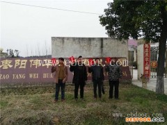 云南蟾蜍养殖-蟾蜍人工养殖-伟华蟾业(优质商家)