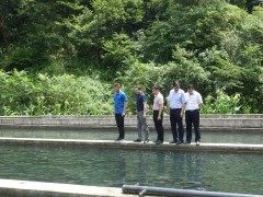 省农业农村厅调研我鹤壁市冷水鱼产业展开