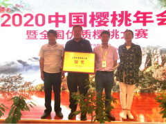 兰山区大樱桃喜获全国大奖-临沂市农业农村局