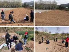 扎实做好田间肥效实验，推进藏粮于技战略实施-宝鸡鹤壁市农业农村局