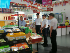 市委副书记、代市长张国旺到 龙岩农发公司调研