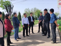 鹤壁市农业农村局段长军副局长调研小麦病虫害防控义务-宝鸡鹤壁市农业农村局