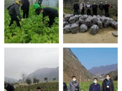 红旗飘扬，质检人内行动  --记疫情防控时期,晋中市质检中心党员干部带头深化一线展开农产质量量安全抽样检测、产业扶贫督战坝区树立和进社区志愿效力新冠疫情防控义务