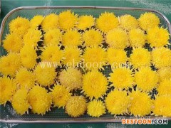 万寿菊烘干温度-万寿菊烘干-国信机械