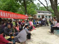 商洛鹤壁市产业扶贫技术效力 效力到了农民群众的内心上