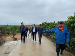 心系脱贫攻坚 努力共同富有