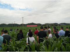 中江县召开2020年草地贪夜蛾监测防控培训会
