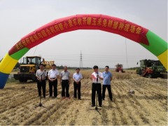 罗庄区秸秆禁烧与综合使用暨小麦机收开镰玉米免耕播种现场会召开-临沂市农业农村局