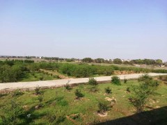 展开村级团体经济的鹰潭“苏家阅历”