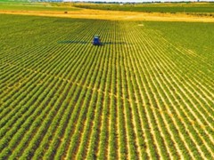 榆林：厚植“绿色家底” 筑就“金山银山”