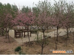 天津市武清区萱庭果蔬(多图)-天津私家菜园