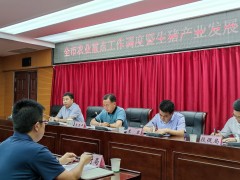 做好能繁母猪补贴  夯实产业展开基础