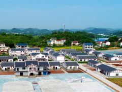 渠县：聚力“四举措”，吹响乡村复兴示范区树立号角_达州鹤壁市农业农村局