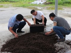 四川省农业科学院蔬菜专家苗明军来棉操作培训温室大棚蔬菜育播技术