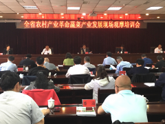 全省农村产业革命蔬菜产业展开现场观摩培训会在威宁举行