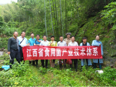 省食用菌产业技术体系在鹰潭龙虎山景区展开食用菌野生种质资源调研活动