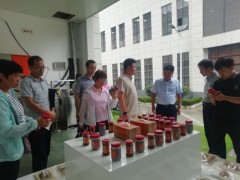 商洛鹤壁市农业农村局扎实展开食用菌产业深度调研