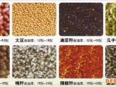 食用油榨油机 榨油机小型榨油 香油榨油机 大型榨油机全套设备 榨油机械设备 小型芝麻榨油机 榨油机报价