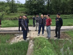 泸州：讨论推进高标准农田树立中宜机化改造义务
