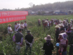 勐海镇召开“化肥农药减施增效、秸秆还田”技术培训会