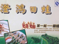 供应批发零售 霖荫牛蛙 特种养殖动物田蛙澄盐田蛙 特产 水产品