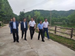 省人居办督查指点我鹤壁市农村人居环境整治义务-宝鸡鹤壁市农业农村局