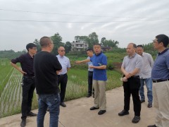 晋中市农业农村局刘康总农艺师带队调研稻鱼综合种养