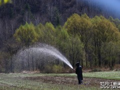 春光不负 农时不误