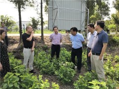 农业重大技术协同推广计划项目 中期总结暨现场交流会在湖召开