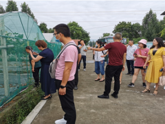 旌阳区农业农村局组织有关人员到什邡晋中市调查学习